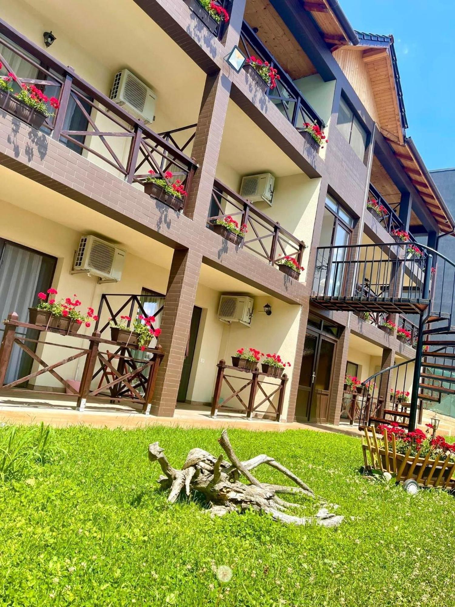 Hotel Mustaciosul Dunarii Ieşelniţa Exterior foto